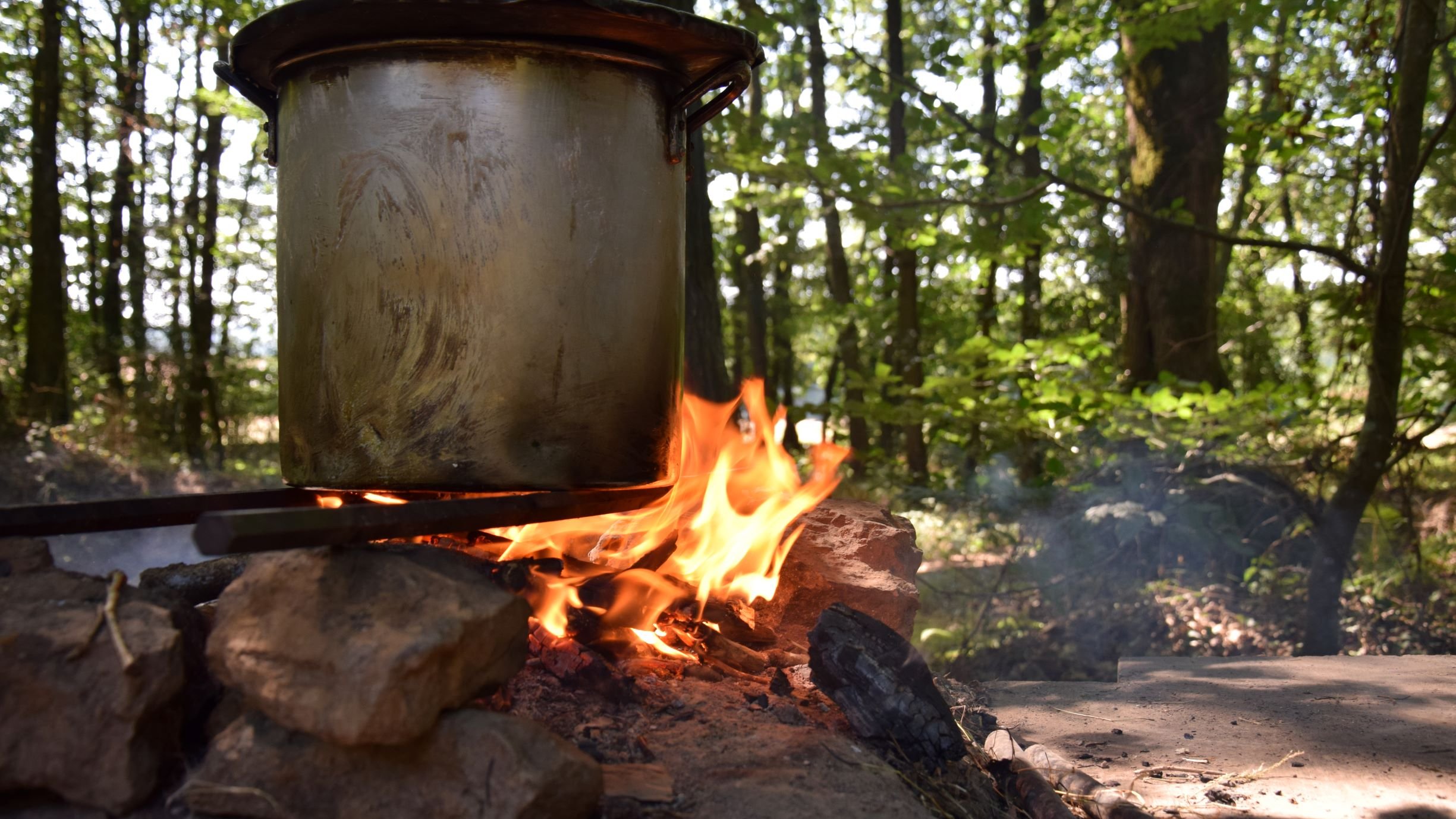 Concombre farci à la tomate
