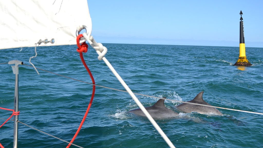 Les balises marines de jour