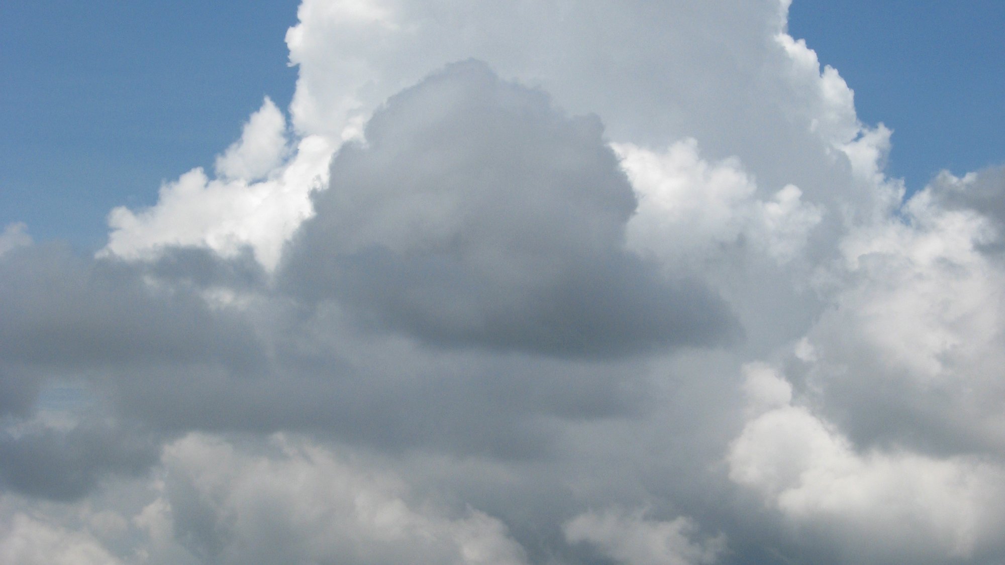 Anticiper et gérer les grains