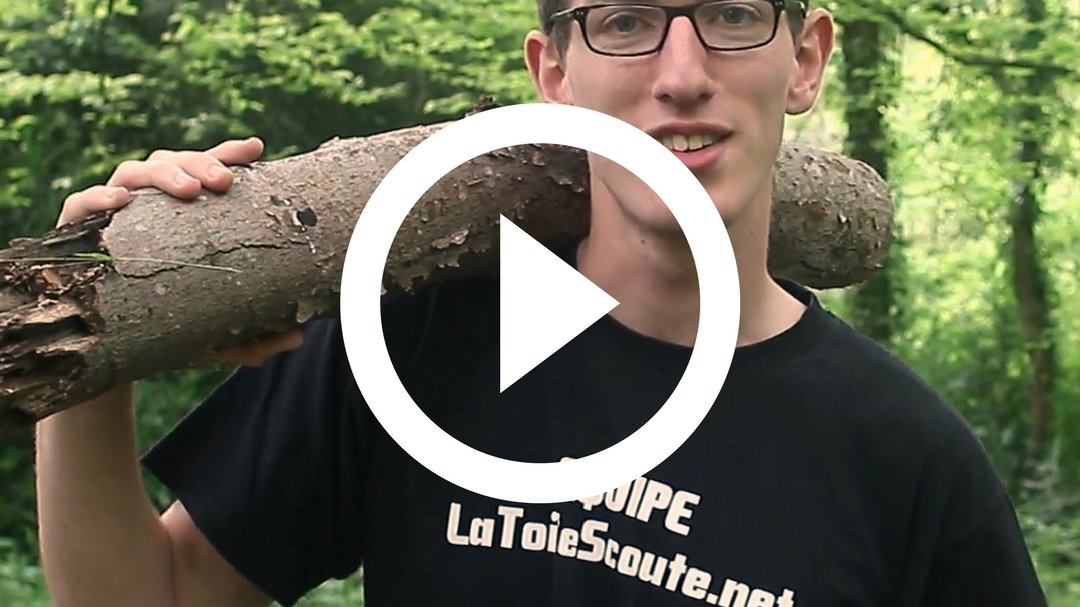 Vidéo : les 4 types de bois pour réussir son feu de camp