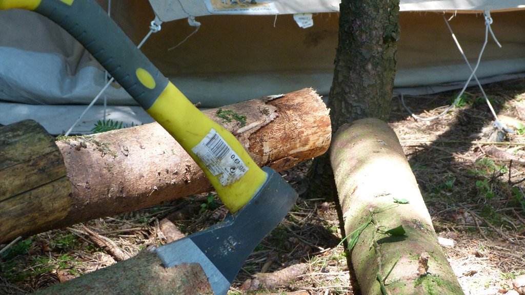 Abattre un arbre à la hache