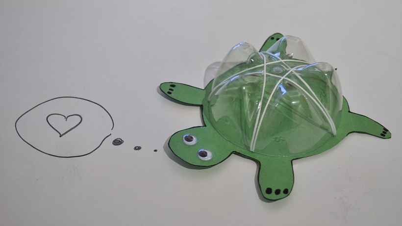 Des tortues originales — LaToileScoute